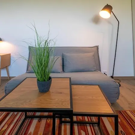 New & Stylish In Prime Location * Lausanne