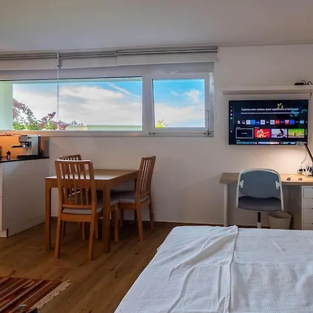 New & Stylish In Prime Location * Lausanne